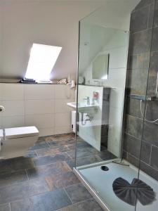 uma casa de banho com um chuveiro, um WC e um lavatório. em Feriendomizil Schlossblick em Blankenburg