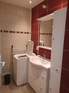 La salle de bains est pourvue d'un lavabo, de toilettes et d'un miroir. dans l'établissement Le Majestic 103, à Aix-les-Bains
