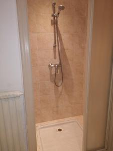 La salle de bains est pourvue d'une douche et de toilettes. dans l'établissement Le Majestic 103, à Aix-les-Bains