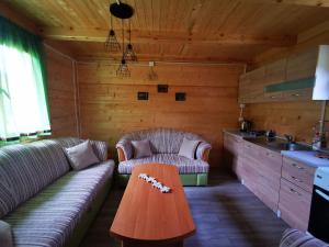 a living room with a couch and a table at Wooden House "Una" in Kulen Vakuf