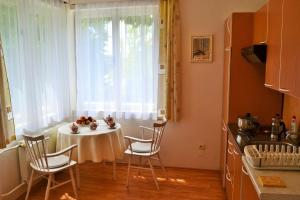 cocina con mesa, sillas y ventana en Vila Daniela, en Karlovy Vary