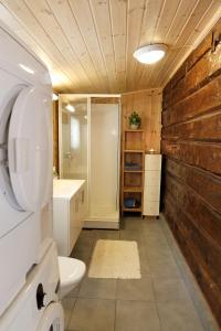 a bathroom with a toilet and a sink and a shower at Det Hvite Hus in Feda