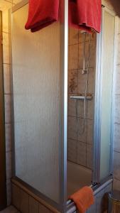 a shower with a glass door in a bathroom at Hausnordlicht FEWO 4 in Dornum