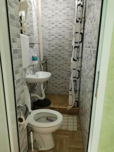 ein kleines Bad mit WC und Waschbecken in der Unterkunft Guest Accommodation Azucki in Novi Bečej