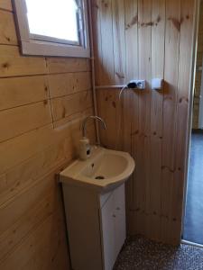 a small bathroom with a sink and a window at Agroturystyka Wilczyn Cegielnia in Wilczyn