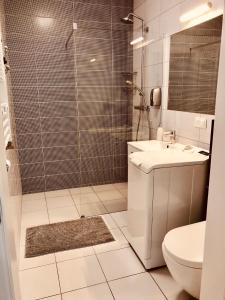 Kúpeľňa v ubytovaní Nova Motlava Old Town Apartment