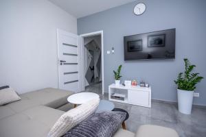 Televízia a/alebo spoločenská miestnosť v ubytovaní Apartamenty AP 11