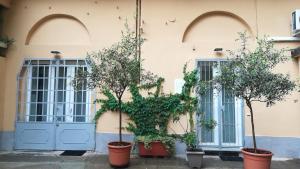 due alberi in vasi di fronte a un edificio di 2 LOFTS guest house a Torino