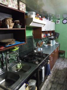 a kitchen with a sink and a stove top oven at Rukavychka in Yaremche