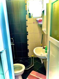 La petite salle de bains est pourvue de toilettes et d'un lavabo. dans l'établissement Eco lodge apartment, à Bar