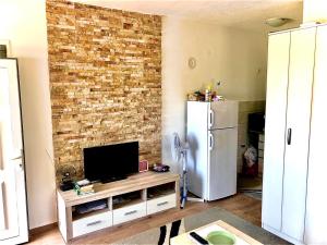 a living room with a television and a brick wall at Eco lodge apartment in Bar