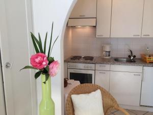 Gallery image of Apartments Posta al Lago in Ronco s/Ascona - Porto Ronco