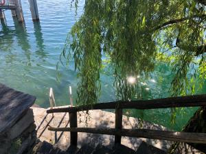 a fence next to a body of water at Apartments Posta al Lago in Ronco sopra Ascona