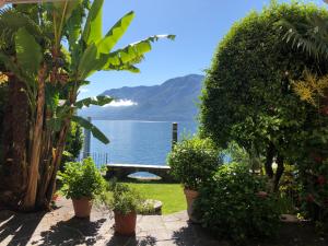 Blick auf das Wasser aus einem Haus mit Pflanzen in der Unterkunft Apartments Posta al Lago in Ronco sopra Ascona