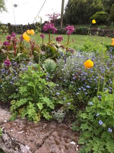 Galeriebild der Unterkunft Ramshaw View in Leek + 21 Fotos