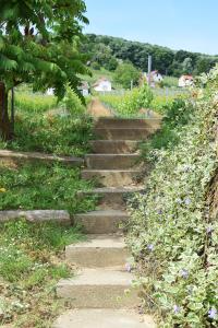 a set of stone stairs in a field with flowers at Remete-lak in Villány