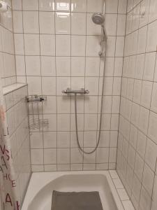 a bathroom with a shower with a tub at Ferienwohnung Dinnebier in Leubnitz