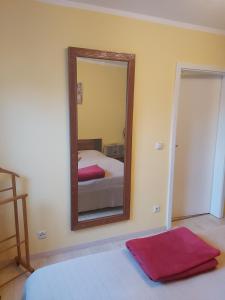 1 dormitorio con cama y espejo en la pared en Ferienwohnung Dinnebier, en Leubnitz