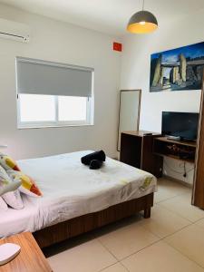 TV a/nebo společenská místnost v ubytování Hostel Malti Budget