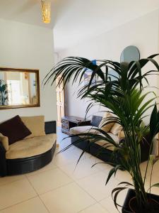 un salon avec un canapé et une plante dans l'établissement Hostel Malti Budget, à San Ġiljan