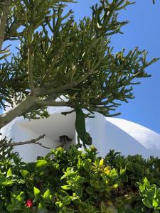 La Almendra y El Gitano, Agua Amarga – Prezzi aggiornati per ...