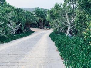 Afbeelding uit fotogalerij van La Almendra y El Gitano in Agua Amarga