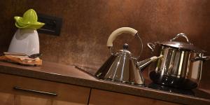a kitchen counter with a tea kettle and a pitcher at Roberta Loft - rooms and apartments in Livigno