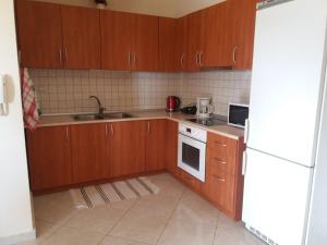 Kuchyň nebo kuchyňský kout v ubytování Anatolis home