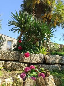 Zahrada ubytování La Floiracaise