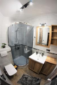 a bathroom with a shower and a sink and a toilet at Apartamenty Zielone Centrum in Stronie Śląskie