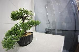 a potted plant sitting on a table in a bathroom at Apartamenty Zielone Centrum in Stronie Śląskie