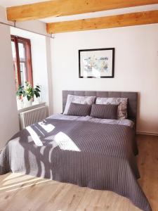 ein Schlafzimmer mit einem großen Bett in einem Zimmer in der Unterkunft Apartmán 2KK Sauna and Aromatherapy in Jihlava