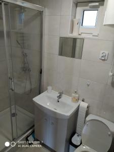 a bathroom with a shower and a toilet and a sink at Domki na lipowej in Pastwiska +17 photos