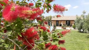 una fila di fiori rossi davanti a una casa di Corte degli Angeli a Marina di Grosseto