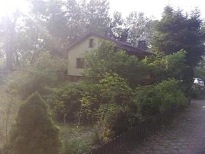 Vonkajšia záhrada v ubytovaní Agroturystyka Czerwone Maki 2 Łazienki 5 Pokoi Kuchnia - NoclegiGrodziskPL 792-535-535