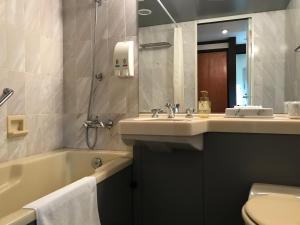 a bathroom with a sink and a tub and a toilet at Shakespeare Hotel in Hakuba
