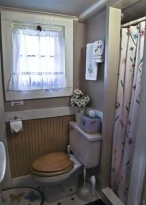 a small bathroom with a toilet and a window at Cabin #3 - Chantilly cabin in Carp Lake