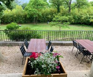 Giardino di Hotel Savel