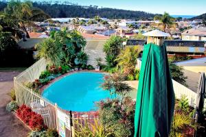 a patio area with a pool and lawn chairs at Merimbula Sea Spray Motel - Adults Only in Merimbula