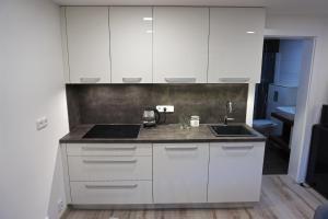 Kuchyň nebo kuchyňský kout v ubytování Apartmány U Lípy + 26 fotografií