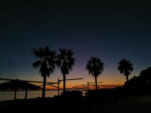 a group of palm trees in front of a sunset at Apartman Lucita in Split