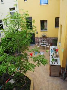 eine Außenterrasse mit Pflanzen und ein gelbes Gebäude in der Unterkunft Ferienwohnung im Hinterhaus in Halle an der Saale