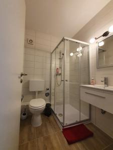 e bagno con doccia, servizi igienici e lavandino. di City Apartment, 27 qm, 2 Personen, high Sp WLAN a Paderborn