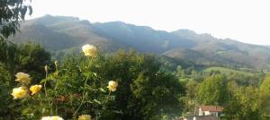 a view of a mountain with flowers in the foreground at Gîte Etxe Xuri in Ossès +7 photos