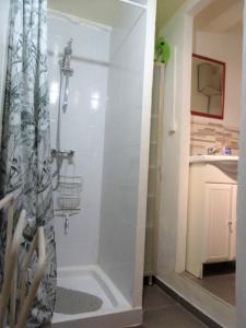 łazienka z prysznicem z zasłoną prysznicową w obiekcie Atypique-ancienne grange de 48 m² w mieście Lorgues