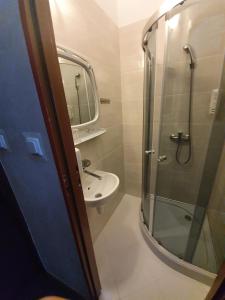 Kylpyhuone majoituspaikassa Hotel Sudety
