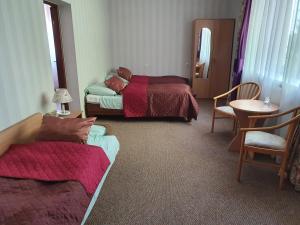 Posteľ alebo postele v izbe v ubytovaní Hotel Sudety