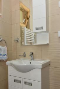 ein Badezimmer mit einem weißen Waschbecken und einem Spiegel in der Unterkunft Bosa noga Rzav in Arilje