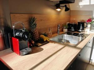 un bancone della cucina con lavandino e ananas sopra di Le petit Mérinos - Rambouillet - a Rambouillet