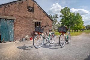 Pyöräilyä majoituspaikan Het Stalhuys alueella tai lähistöllä